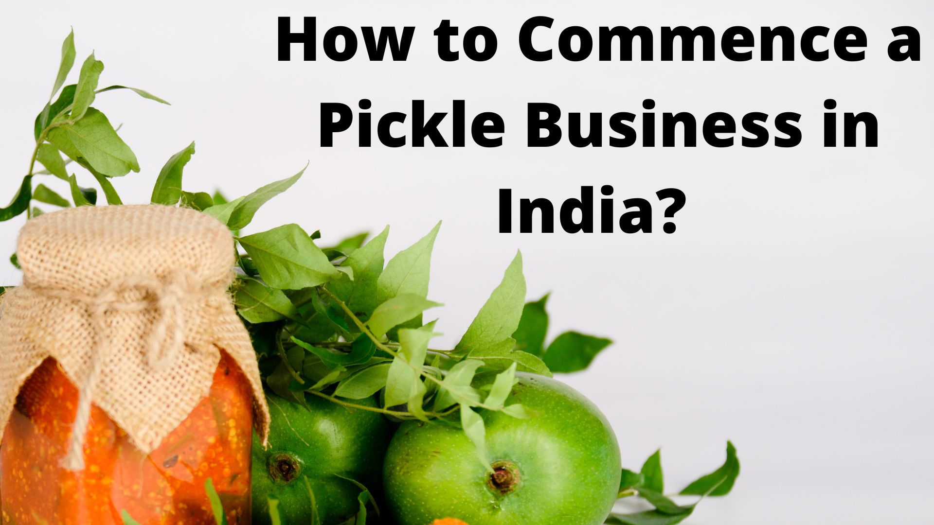 How to Commence a Pickle Business in India