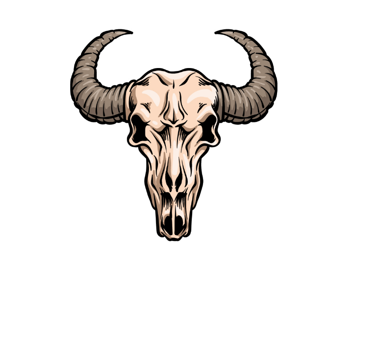 Draw A Bull Skull