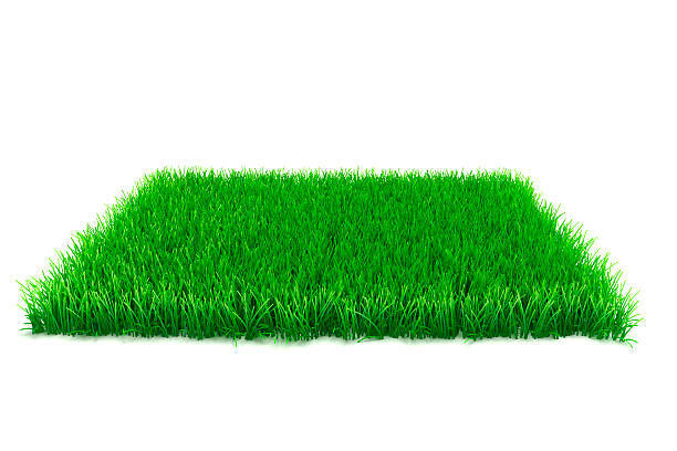artificial grass installation in West Midlands