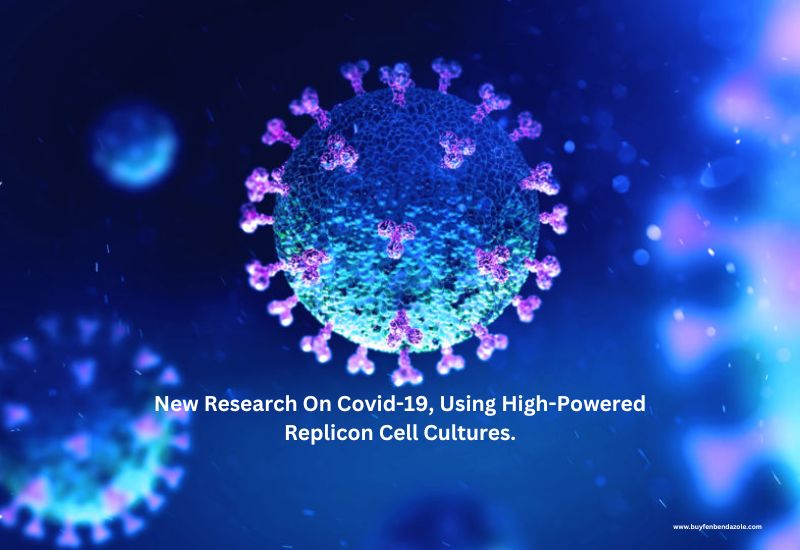 New Research On Covid-19, Using High-Powered Replicon Cell Cultures.